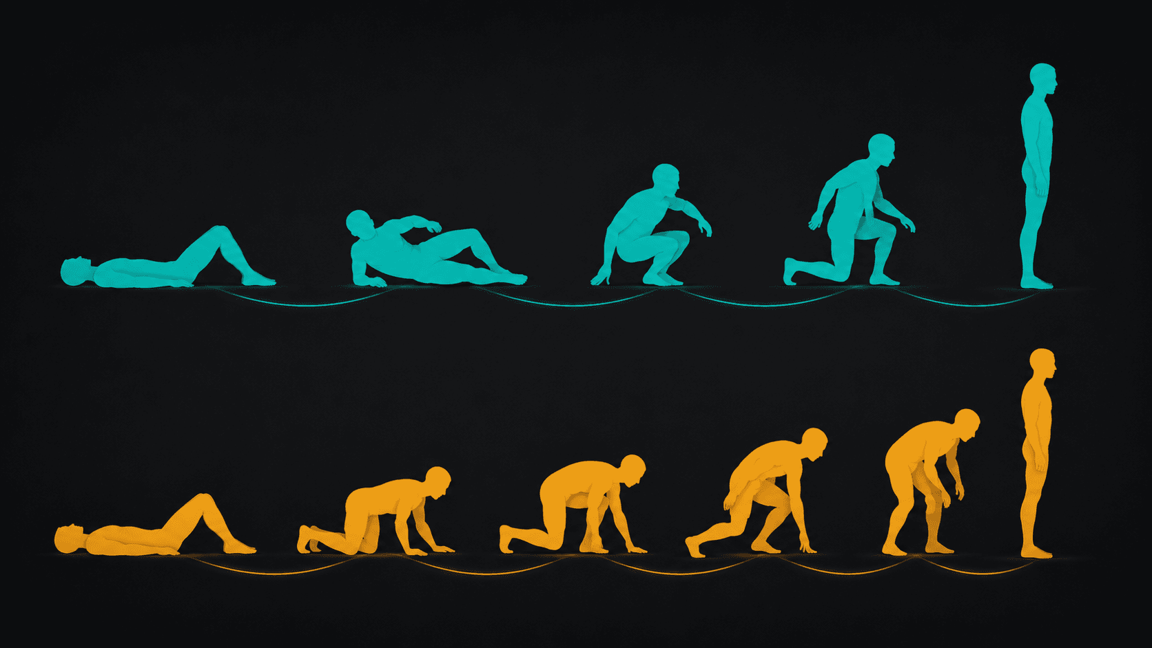A diagram comparing two different movement routes from lying on the floor to standing